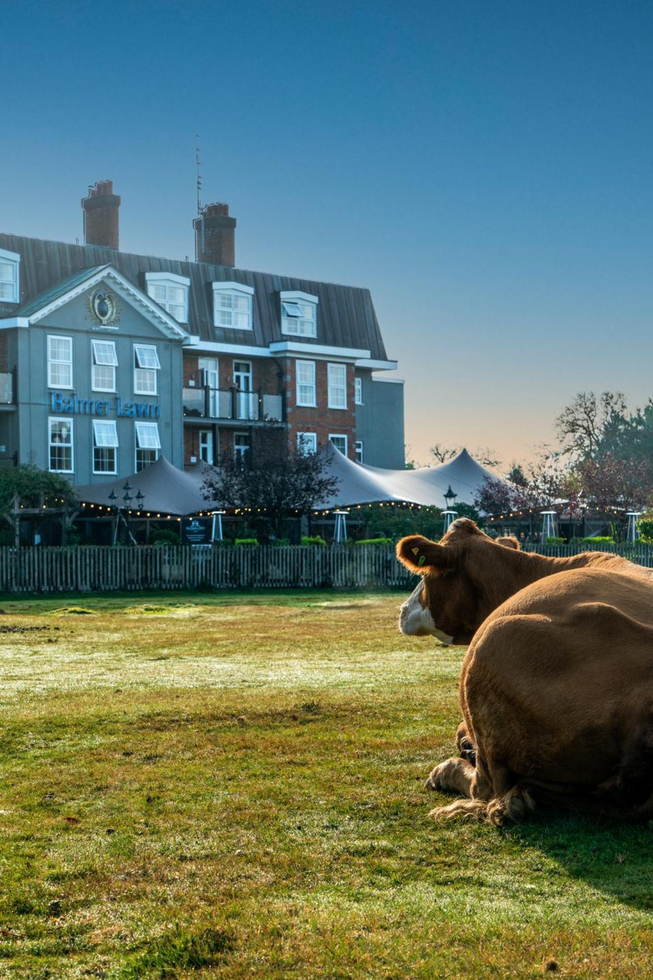 Balmer Lawn Brockenhurst Zewnętrze zdjęcie