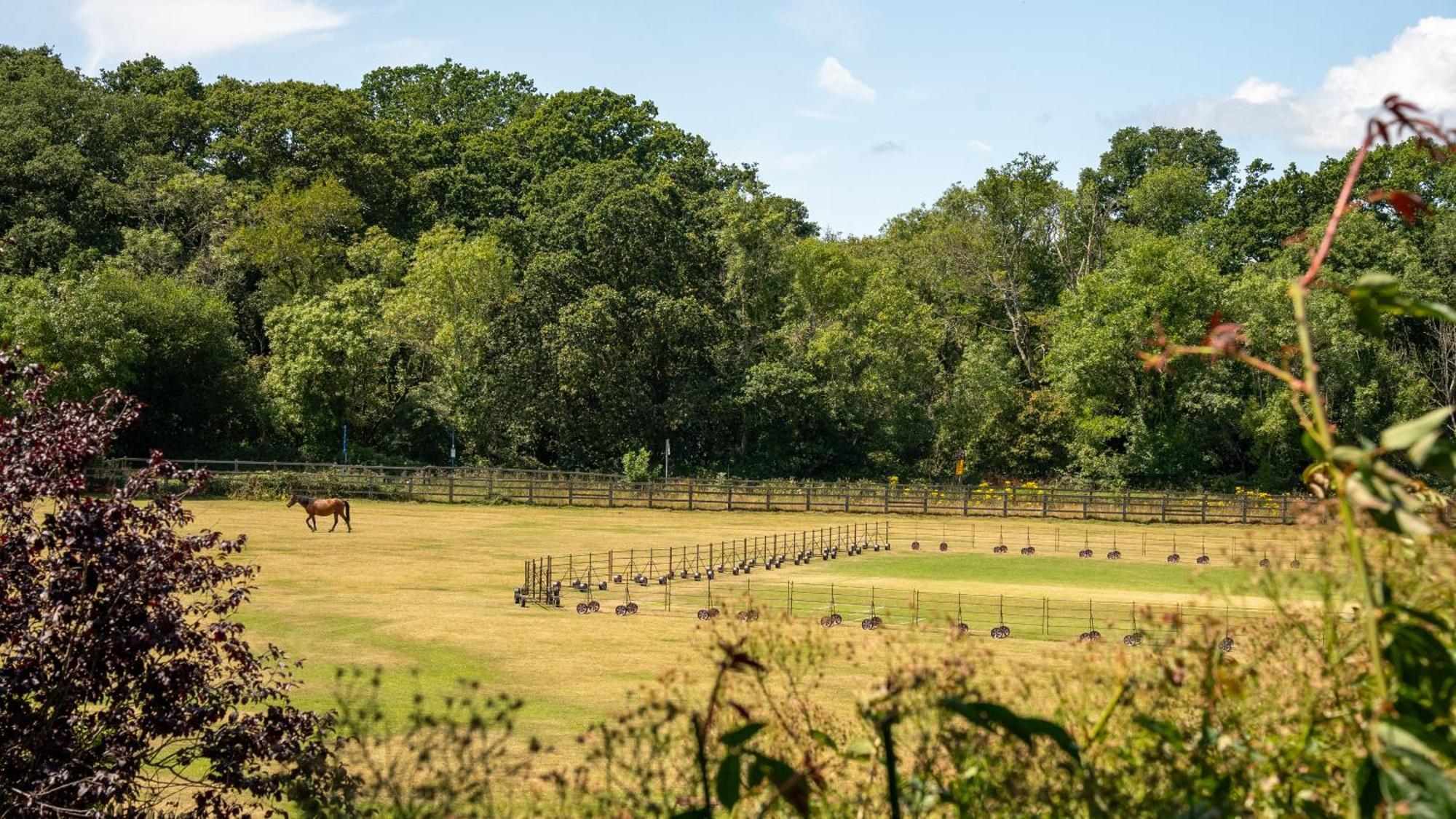 Balmer Lawn Brockenhurst Zewnętrze zdjęcie